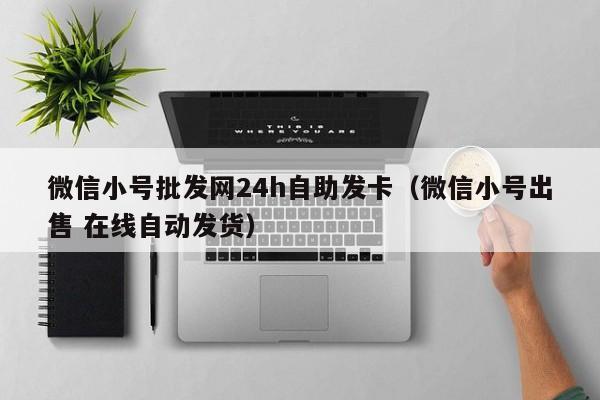微信小号批发网24h自助发卡（微信小号出售 在线自动发货）