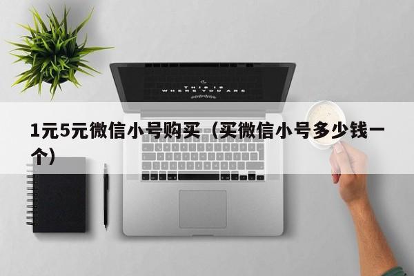 1元5元微信小号购买（买微信小号多少钱一个）