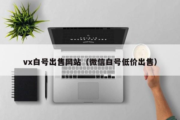 vx白号出售网站（微信白号低价出售）