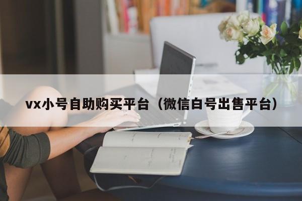 vx小号自助购买平台（微信白号出售平台）