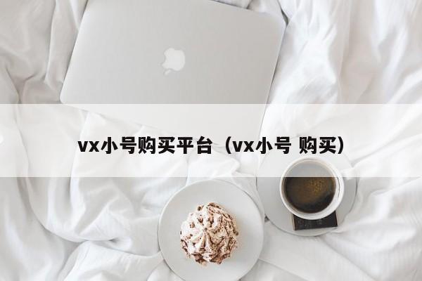 vx小号购买平台（vx小号 购买）