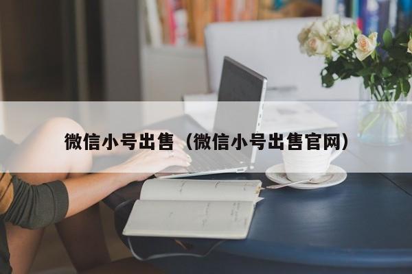 微信小号出售（微信小号出售官网）