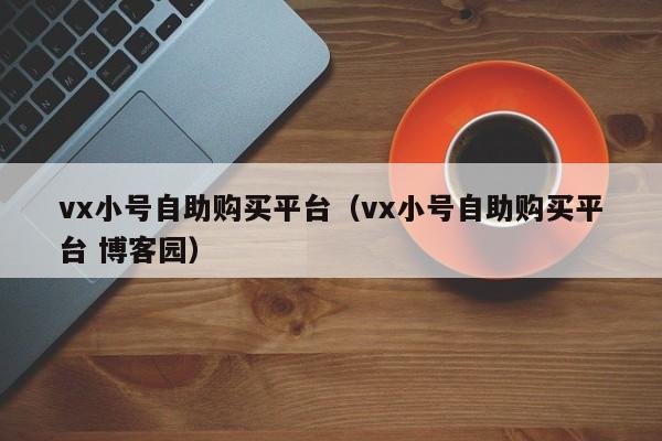 vx小号自助购买平台（vx小号自助购买平台 博客园）