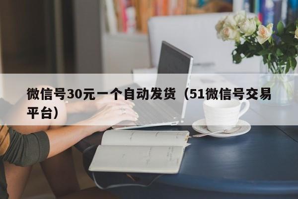 微信号30元一个自动发货（51微信号交易平台）