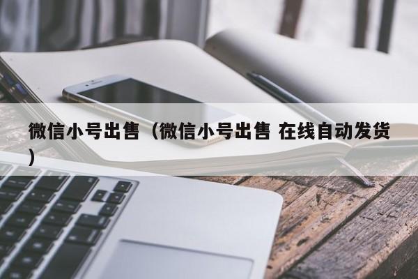 微信小号出售（微信小号出售 在线自动发货）