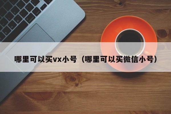 哪里可以买vx小号（哪里可以买微信小号）