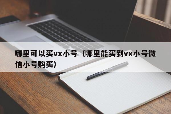 哪里可以买vx小号（哪里能买到vx小号微信小号购买）