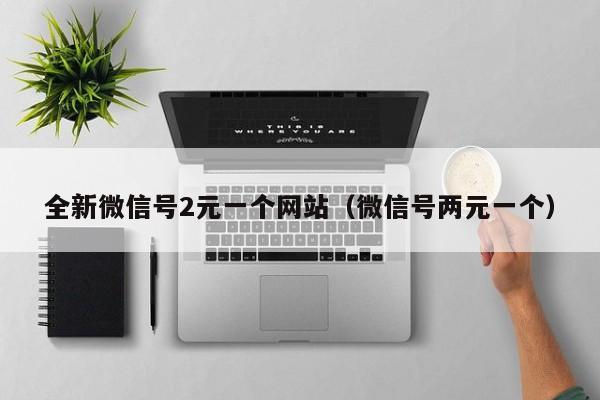 全新微信号2元一个网站（微信号两元一个）