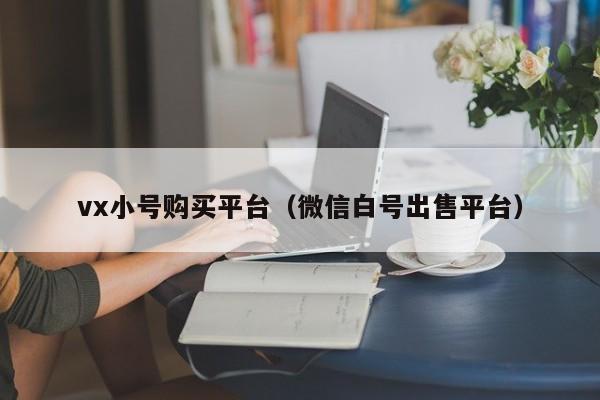 vx小号购买平台（微信白号出售平台）