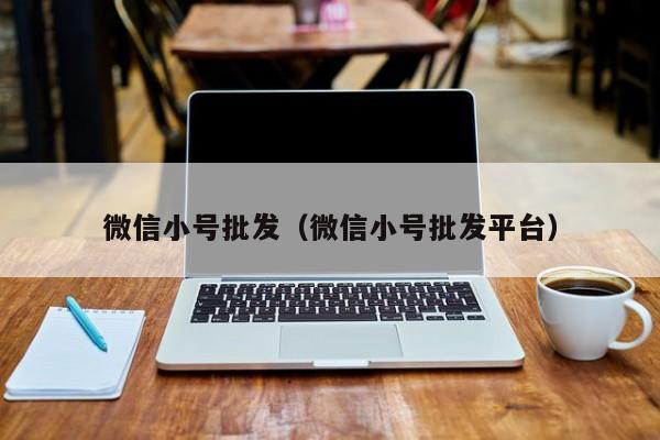 微信小号批发（微信小号批发平台）