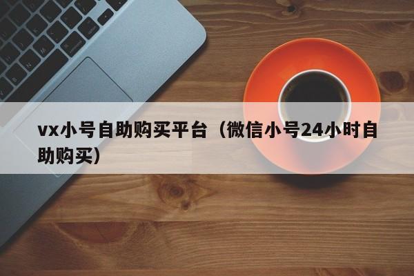 vx小号自助购买平台（微信小号24小时自助购买）