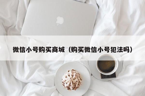 微信小号购买商城（购买微信小号犯法吗）