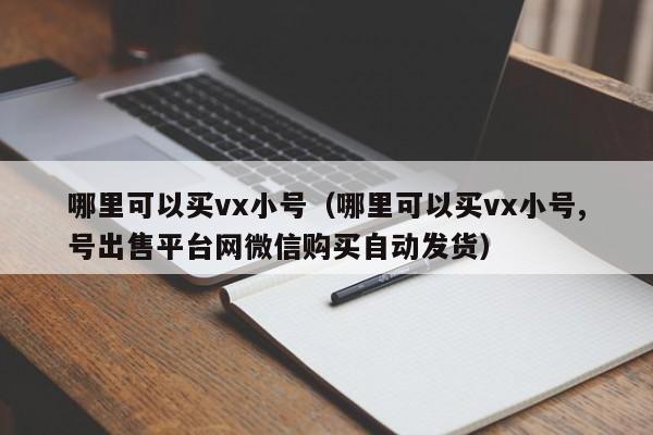 哪里可以买vx小号（哪里可以买vx小号,号出售平台网微信购买自动发货）