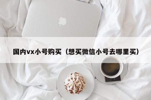 国内vx小号购买（想买微信小号去哪里买）