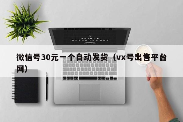 微信号30元一个自动发货（vx号出售平台网）