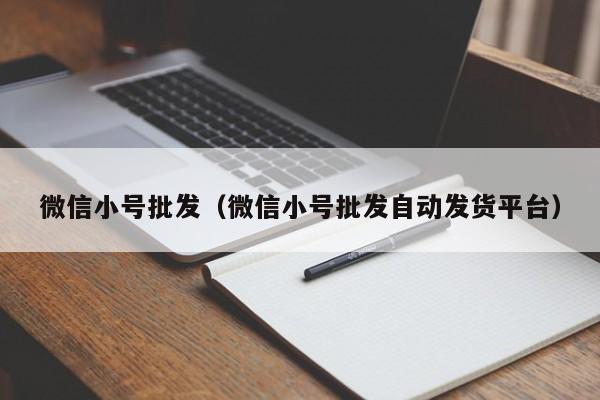 微信小号批发（微信小号批发自动发货平台）