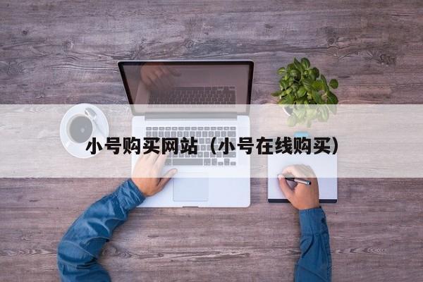 小号购买网站（小号在线购买）