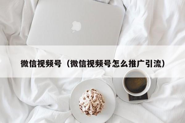 微信视频号（微信视频号怎么推广引流）
