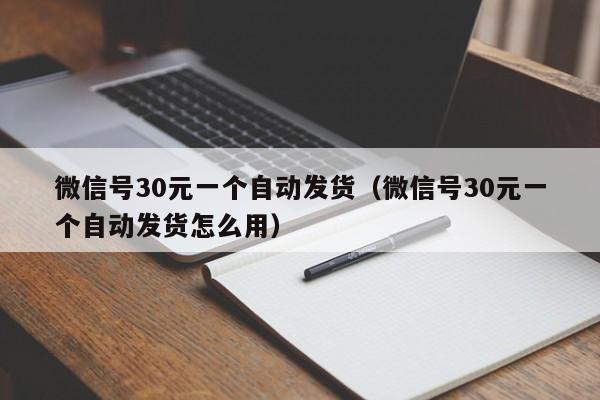 微信号30元一个自动发货（微信号30元一个自动发货怎么用）