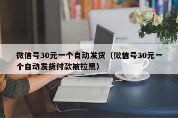 微信号30元一个自动发货（微信号30元一个自动发货付款被拉黑）