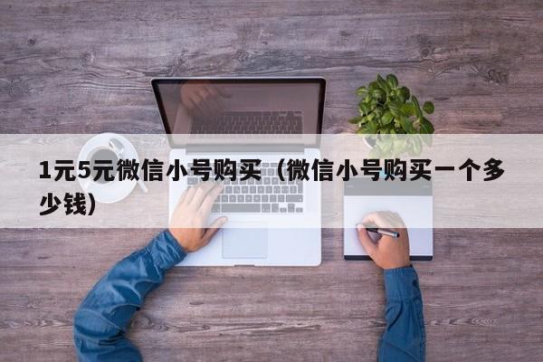 1元5元微信小号购买（微信小号购买一个多少钱）