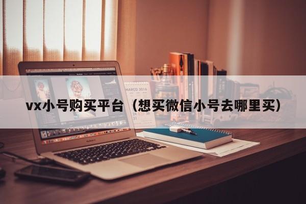 vx小号购买平台（想买微信小号去哪里买）